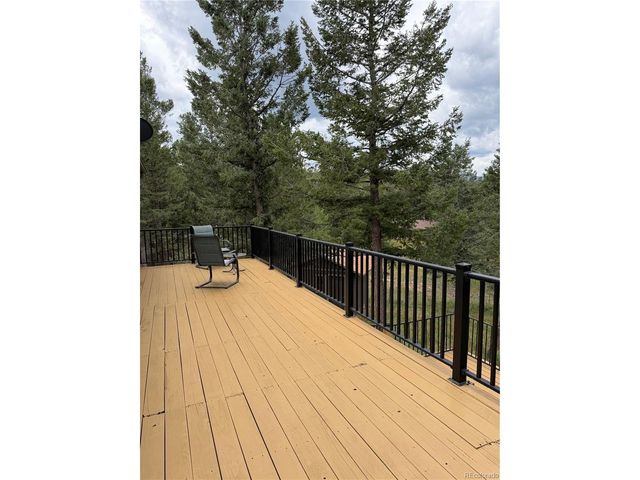 71 Columbine Dr, Bailey, CO 80421
