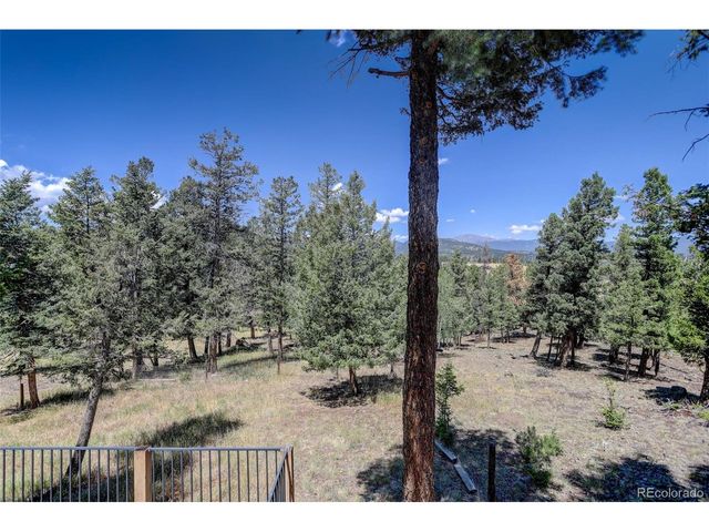 71 Columbine Dr, Bailey, CO 80421