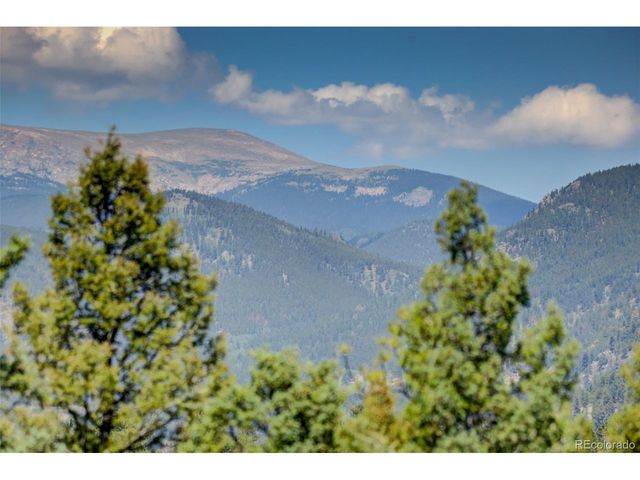 71 Columbine Dr, Bailey, CO 80421