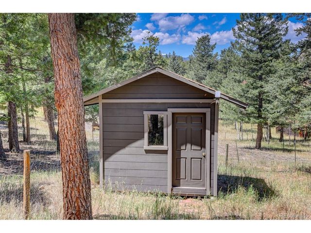 71 Columbine Dr, Bailey, CO 80421