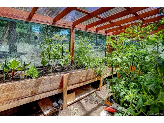71 Columbine Dr, Bailey, CO 80421