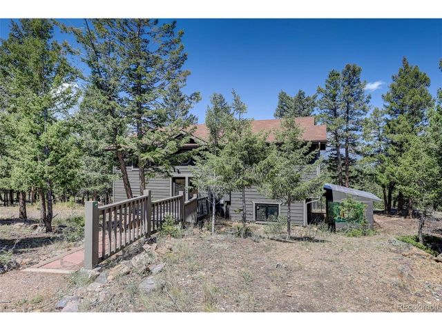 71 Columbine Dr, Bailey, CO 80421