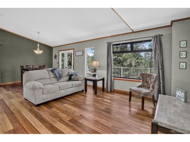 71 Columbine Dr, Bailey, CO 80421
