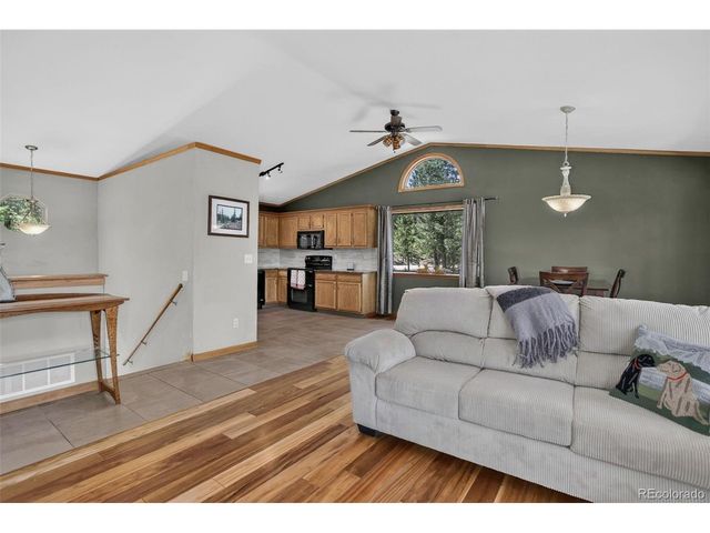71 Columbine Dr, Bailey, CO 80421