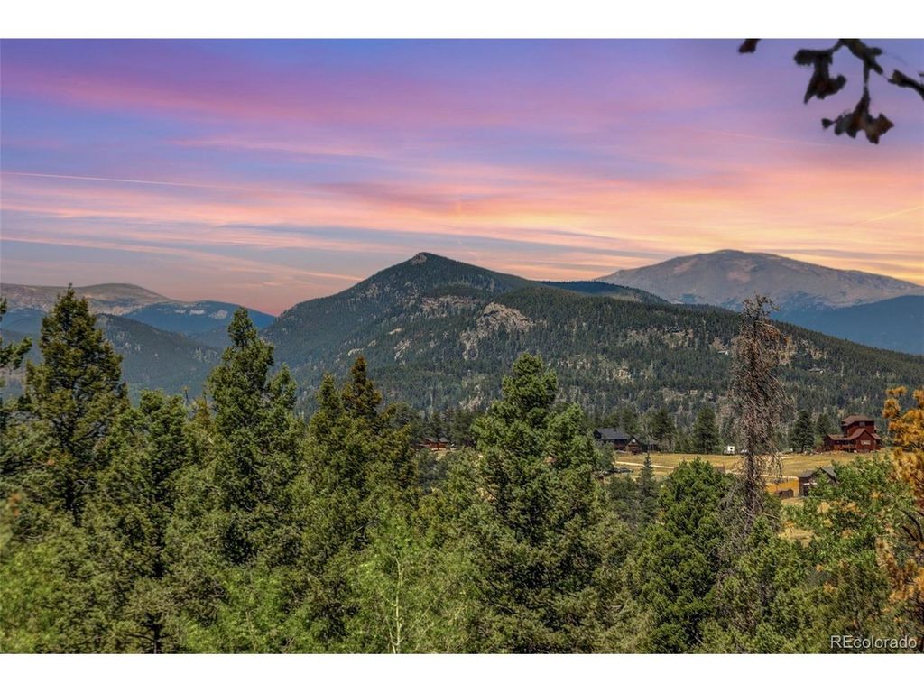 71 Columbine Dr, Bailey, CO 80421