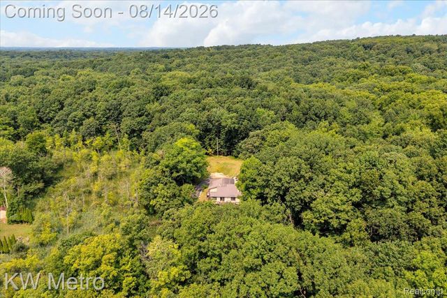 3050 Indian Lake Road, Addison Township, MI 48370
