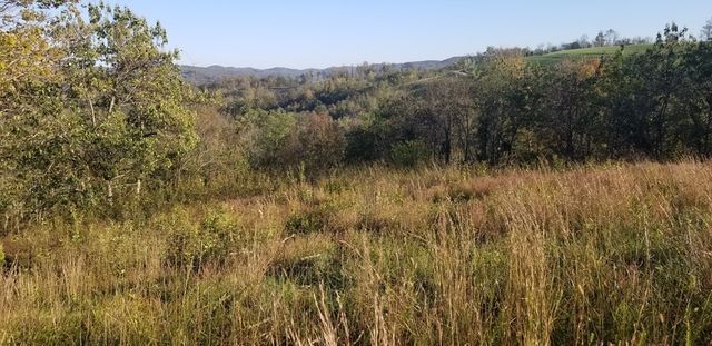 0 Swan Ridge Rd, Hilham, TN 38568