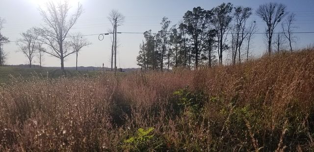 0 Swan Ridge Rd, Hilham, TN 38568