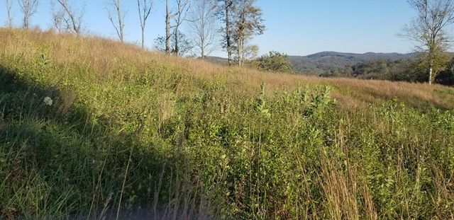 0 Swan Ridge Rd, Hilham, TN 38568