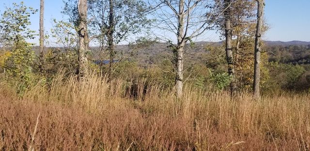 0 Swan Ridge Rd, Hilham, TN 38568
