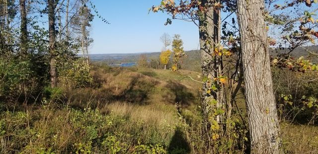 0 Swan Ridge Rd, Hilham, TN 38568