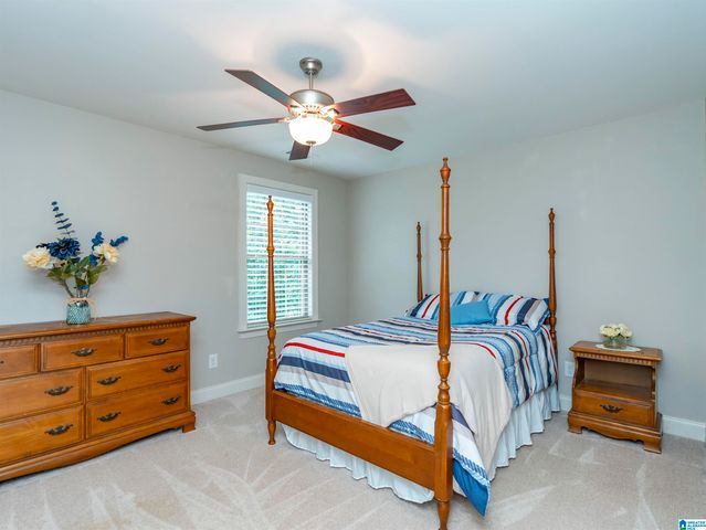 109 WILLOW BRANCH LANE, Chelsea, AL 35043