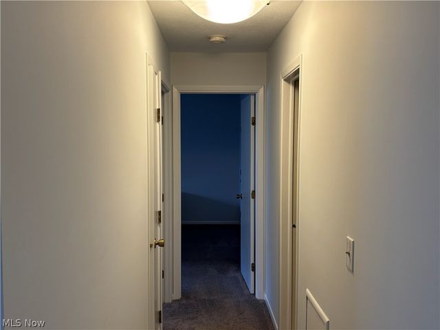 2112 Acacia Park Drive 312, Lyndhurst, OH 44124