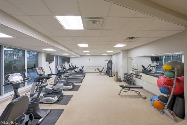 2112 Acacia Park Drive 312, Lyndhurst, OH 44124