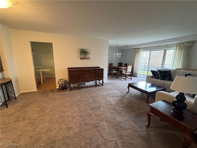 2112 Acacia Park Drive 312, Lyndhurst, OH 44124