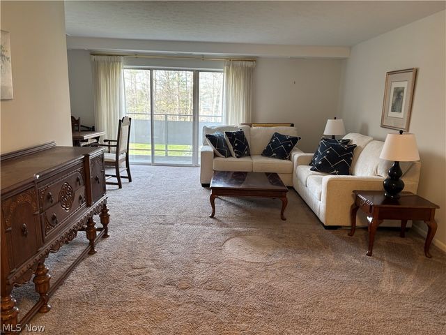 2112 Acacia Park Drive 312, Lyndhurst, OH 44124