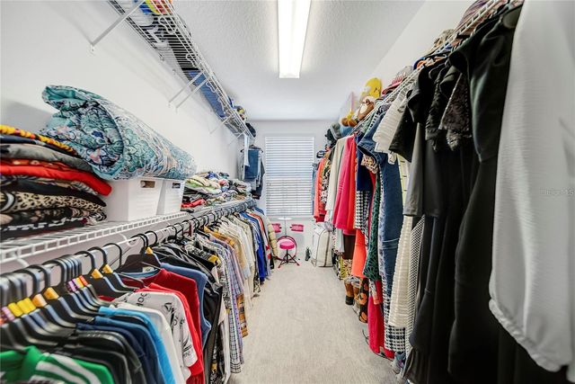 6460 MAKRUT LIME DRIVE, Winter Garden, FL 34787