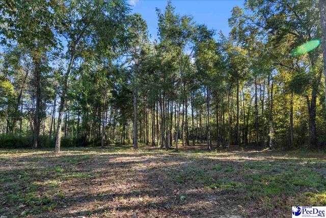 3896 Alligator Rd., Timmonsville, SC 29161