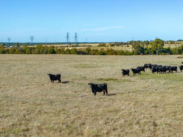 00 Fm 1651, Canton, TX 75103