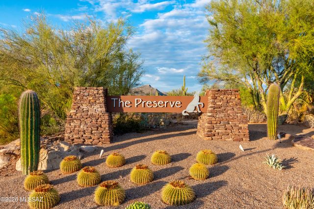 12081 N Golden Mirror Drive, Marana, AZ 85658