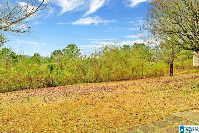 41 WOODLAND RIDGE ROAD, Odenville, AL 35120