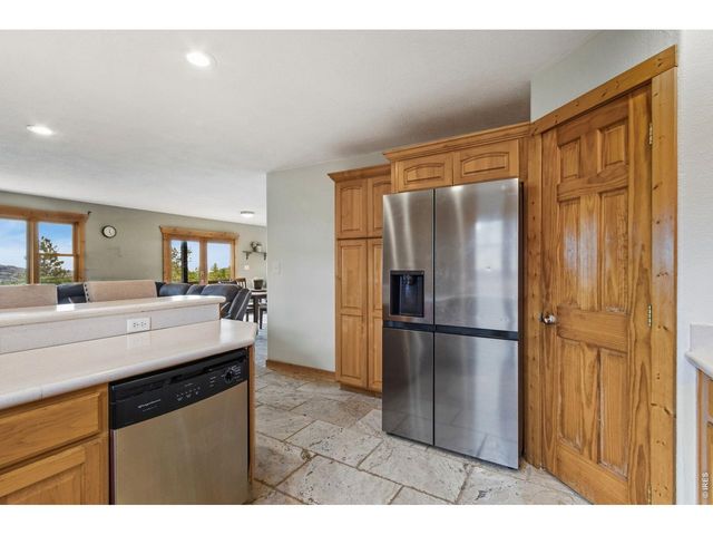 569 Gordon Ct, Livermore, CO 80536