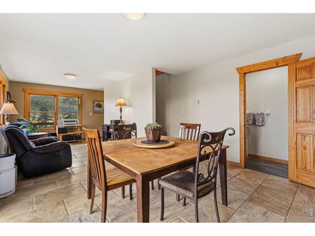 569 Gordon Ct, Livermore, CO 80536