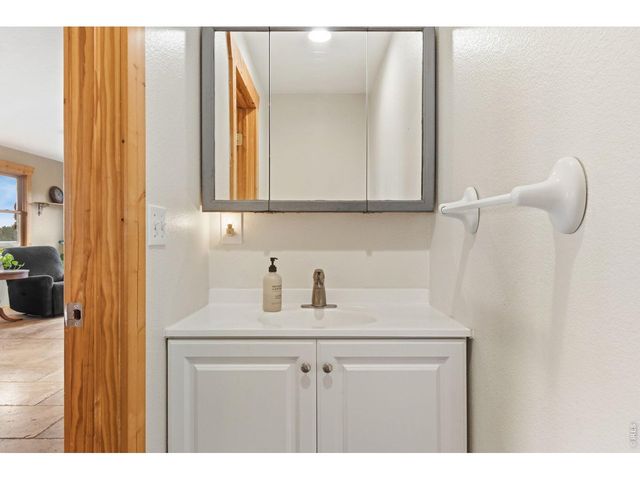 569 Gordon Ct, Livermore, CO 80536