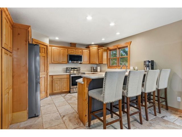 569 Gordon Ct, Livermore, CO 80536