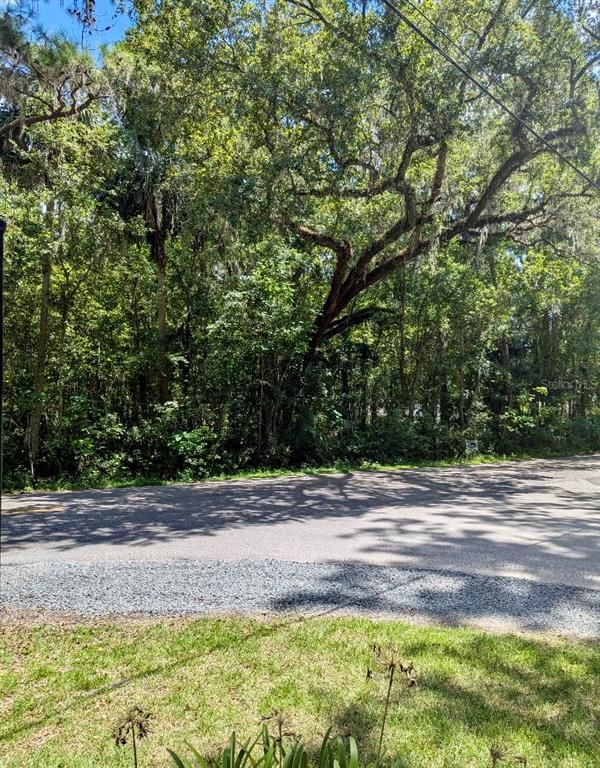 SW 7TH AVE.RD AVENUE, Ocala, FL 34471