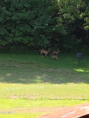 255 Bank Drive, Fall Branch, TN 37656