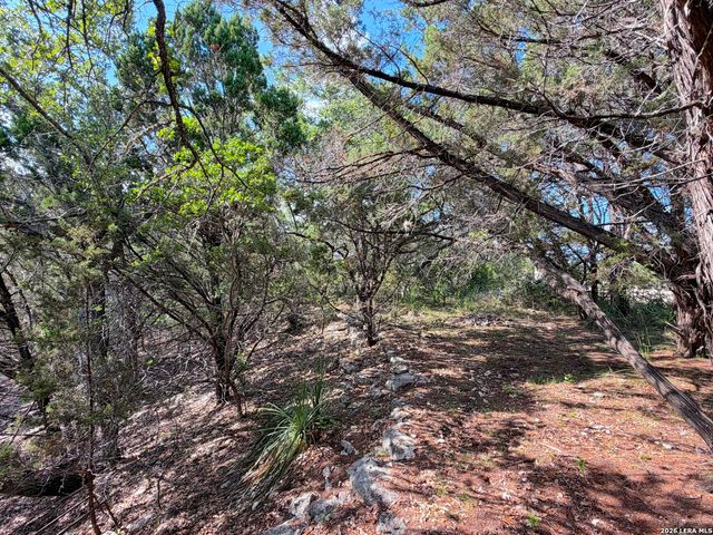 2021 RONDA CT, Canyon Lake, TX 78133