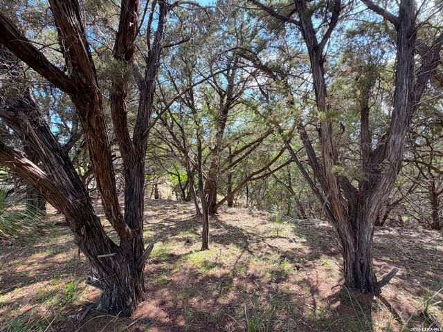 2021 RONDA CT, Canyon Lake, TX 78133