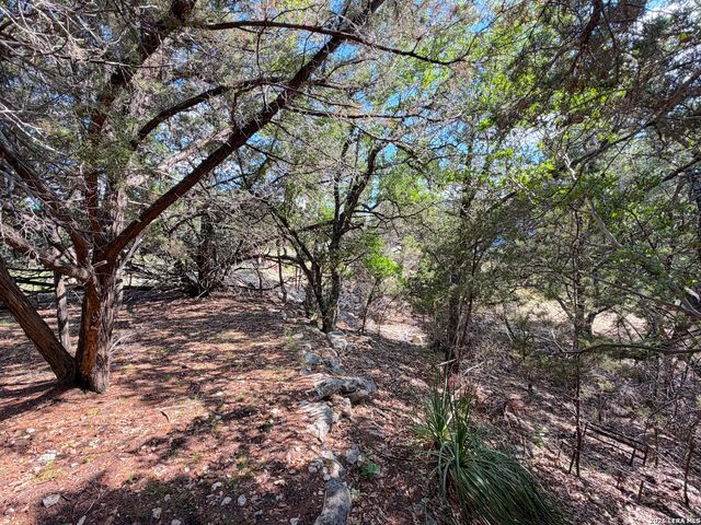 2021 RONDA CT, Canyon Lake, TX 78133