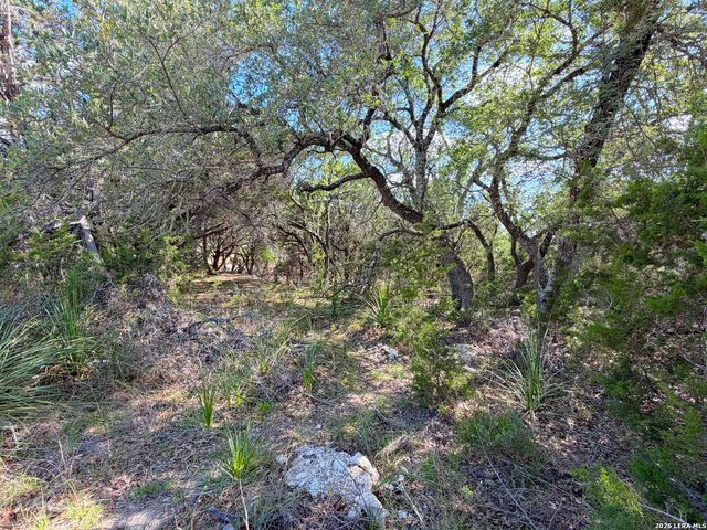 2021 RONDA CT, Canyon Lake, TX 78133