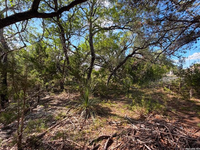 2021 RONDA CT, Canyon Lake, TX 78133