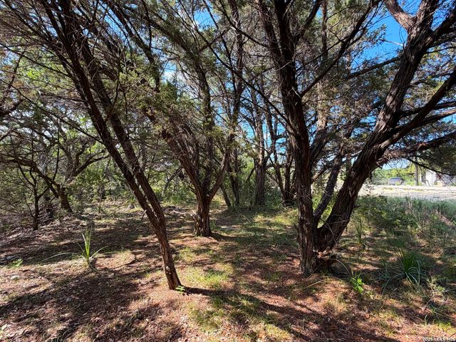 2021 RONDA CT, Canyon Lake, TX 78133