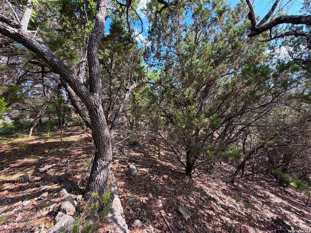 2021 RONDA CT, Canyon Lake, TX 78133