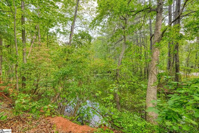 0 Motlow Creek Road, Campobello, SC 29322