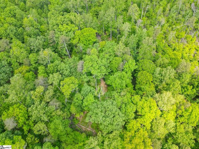0 Motlow Creek Road, Campobello, SC 29322