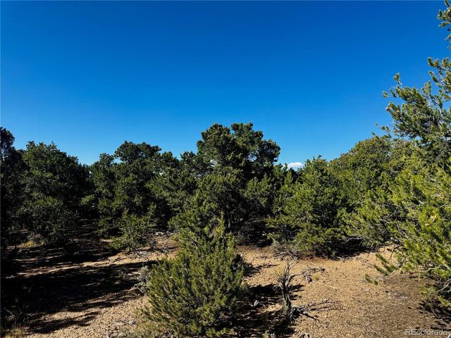 1522 Dunn Rd, San Luis, CO 81152