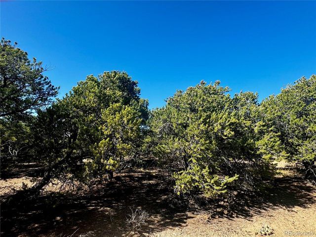 1522 Dunn Rd, San Luis, CO 81152