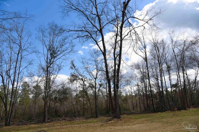 Lot 14 Brook Crossing St, Pace, FL 32571