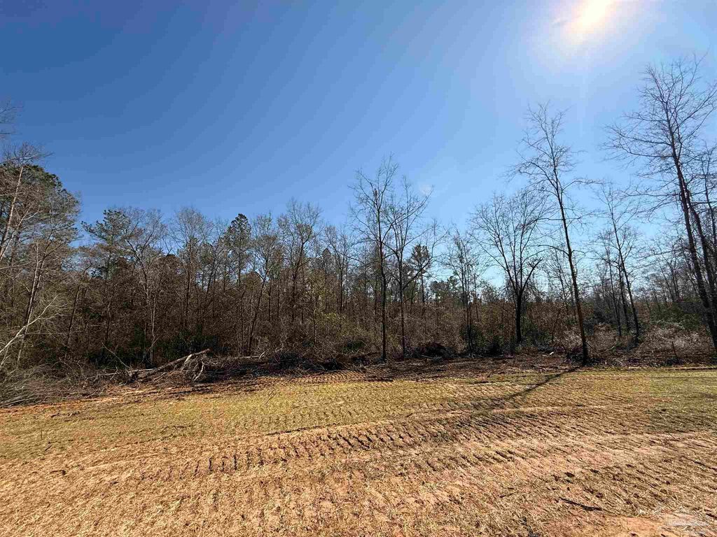 Lot 14 Brook Crossing St, Pace, FL 32571