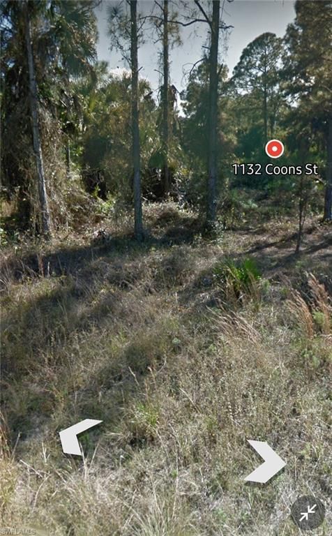 1132 Coons ST E, LEHIGH ACRES, FL 33974 — photo 3