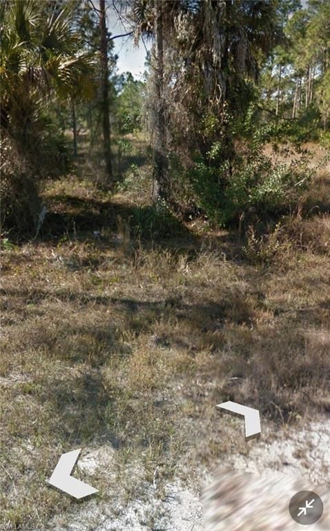 1132 Coons ST E, LEHIGH ACRES, FL 33974 — photo 4