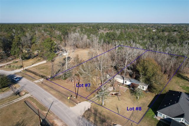 21171 Ferne Leaf Drive, Porter, TX 77365