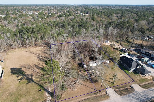 21171 Ferne Leaf Drive, Porter, TX 77365