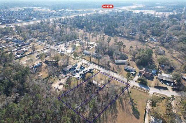 21171 Ferne Leaf Drive, Porter, TX 77365