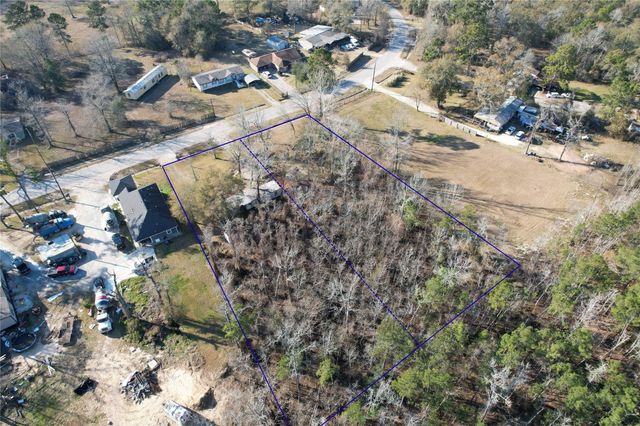 21171 Ferne Leaf Drive, Porter, TX 77365